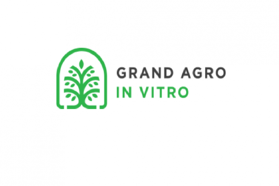 GRAND AGRO İN-VİTRO